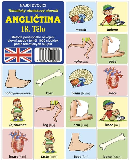 TĚLO - ANGLICKÉ PEXESO 18 - tematický obrázkový slovník