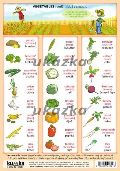 OVOCE a ZELENINA - obrázková angličtina 2 - laminovaná tabulka A5