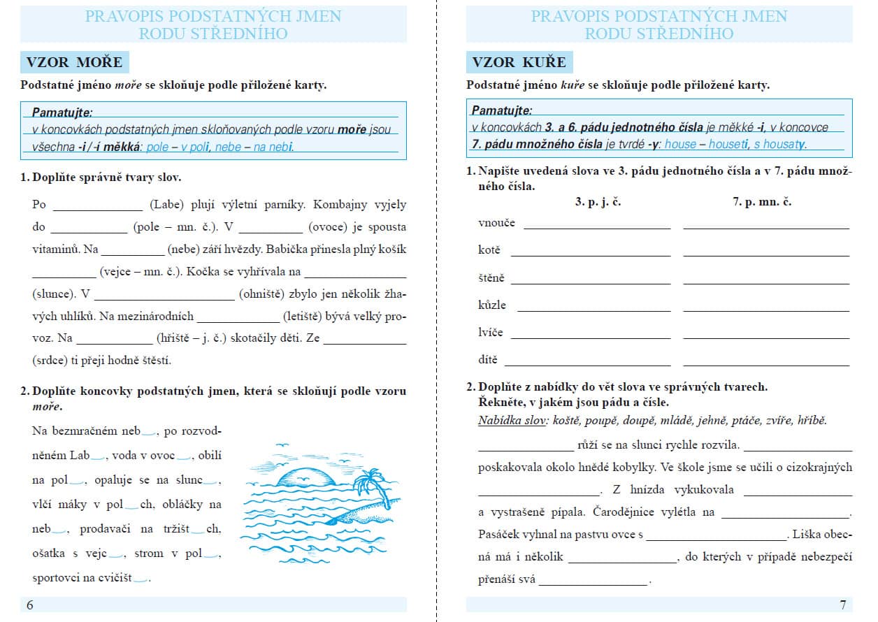 PROCVIČUJEME PRAVOPIS PODSTATNÝCH JMÉN RODU ŽENSKÉHO a STŘEDNÍHO - pracovní sešit