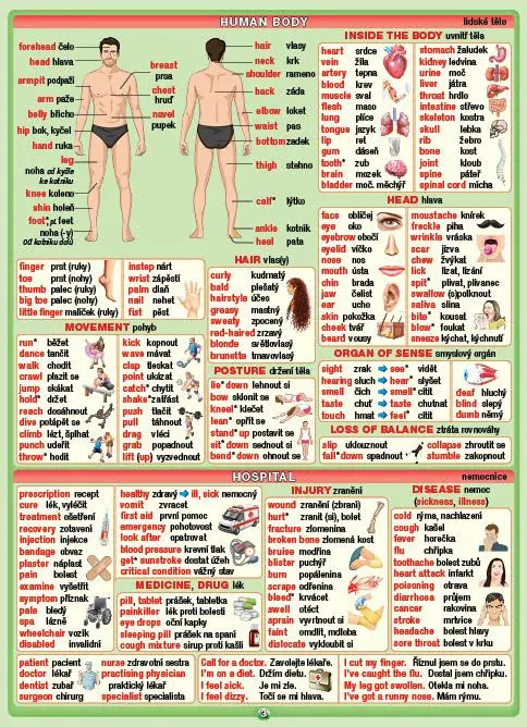 ANGLICKÝ SLOVNÍČEK (2800 slovíček) - naučné laminované tabulky A5