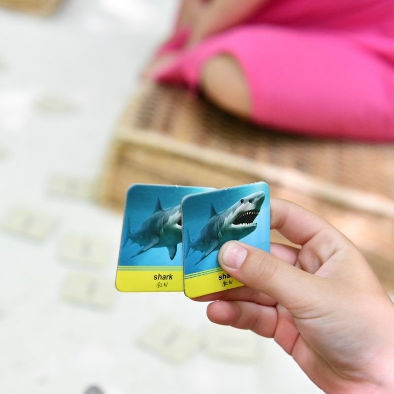 Anglické pexeso ZVÍŘATA - anglická slovíčka hrou