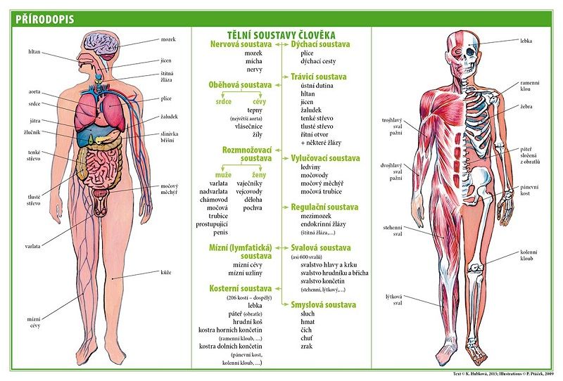 Školní TABULKY pro 6. - 9. třídu ZŠ - ZEMĚPIS, CHEMIE, FYZIKA, PŘÍRODOPIS, MATEMATIKA