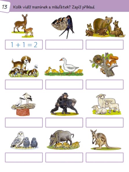Procvičuj MATEMATIKU - zábavný pracovní sešit pro 1. třídu