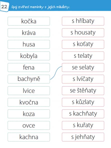 Procvičuj ČTENÍ - zábavný pracovní sešit pro 1. a 2. třídu